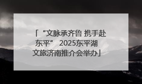 “文脉承齐鲁 携手赴东平” 2025东平湖文旅济南推介会举办